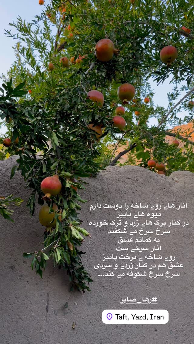  جدید ترین استوری اینستاگرام هادی فلاح