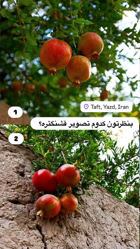  جدید ترین استوری اینستاگرام هادی فلاح
