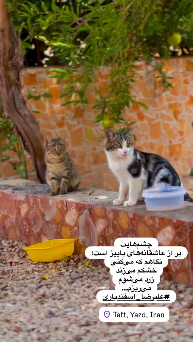  جدید ترین استوری اینستاگرام هادی فلاح