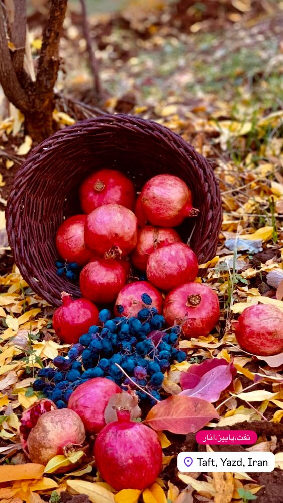  جدید ترین استوری اینستاگرام هادی فلاح