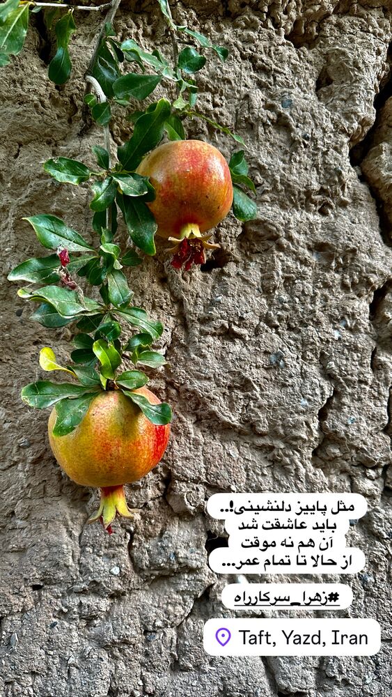  جدید ترین استوری اینستاگرام هادی فلاح