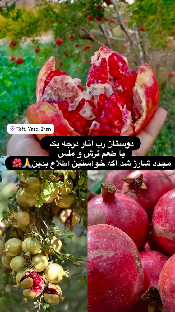  جدید ترین استوری اینستاگرام هادی فلاح