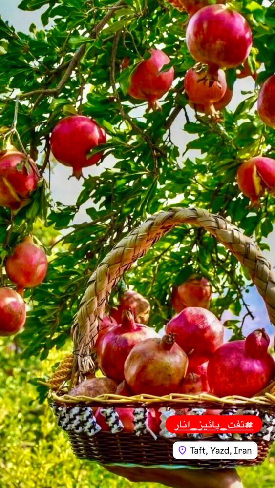  جدید ترین استوری اینستاگرام هادی فلاح