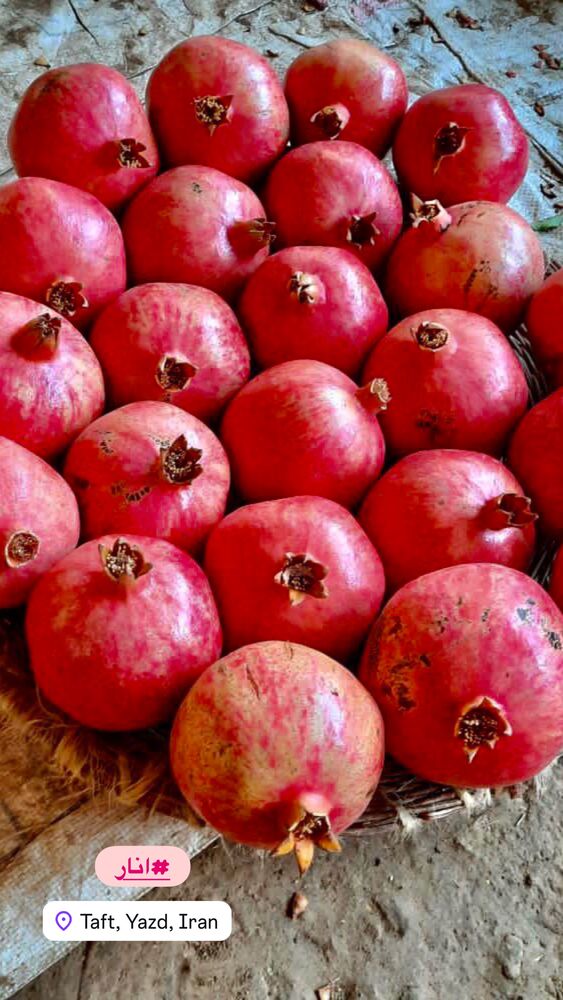  جدید ترین استوری اینستاگرام هادی فلاح