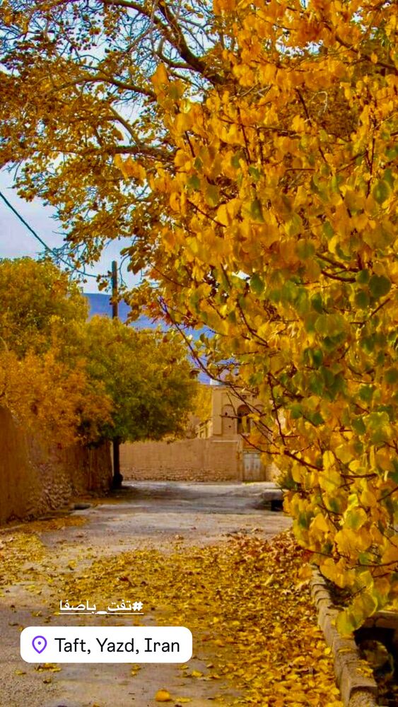  جدید ترین استوری اینستاگرام هادی فلاح