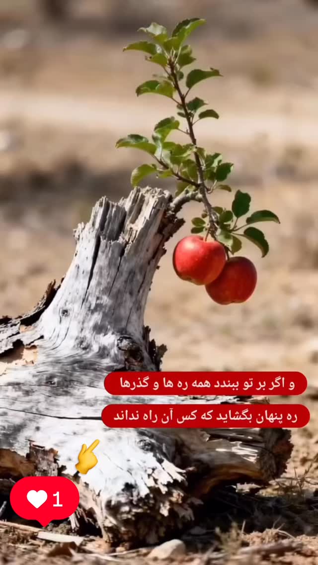  جدید ترین استوری اینستاگرام هادی فلاح