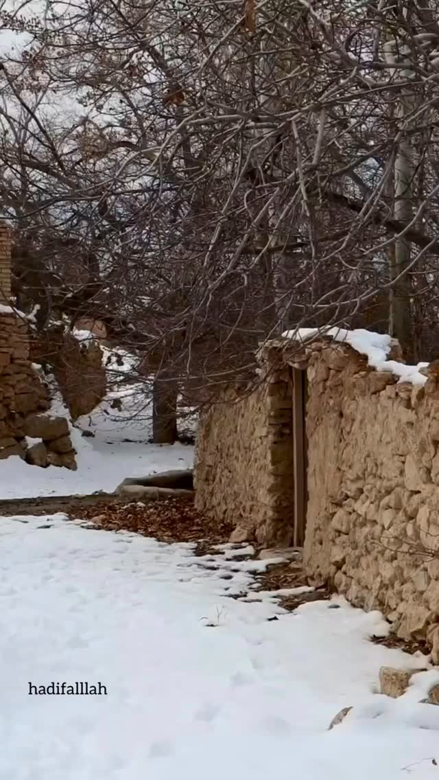  جدید ترین استوری اینستاگرام هادی فلاح