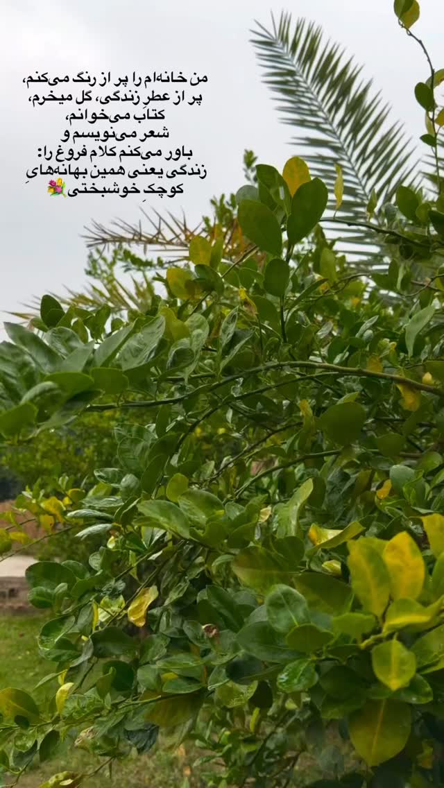  جدید ترین استوری اینستاگرام هادی فلاح