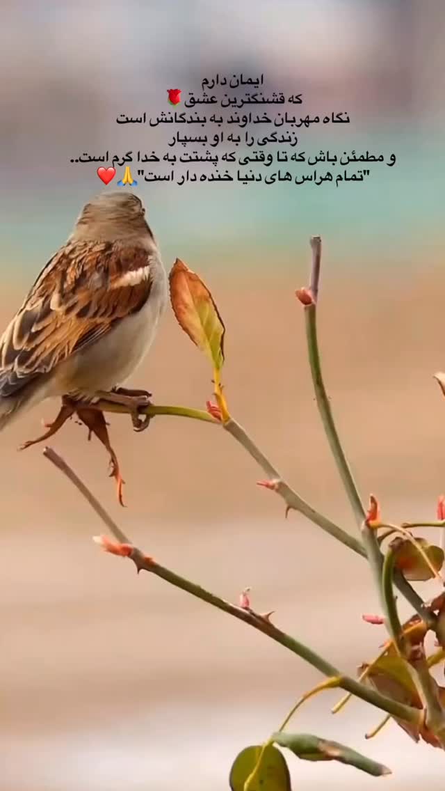  جدید ترین استوری اینستاگرام هادی فلاح