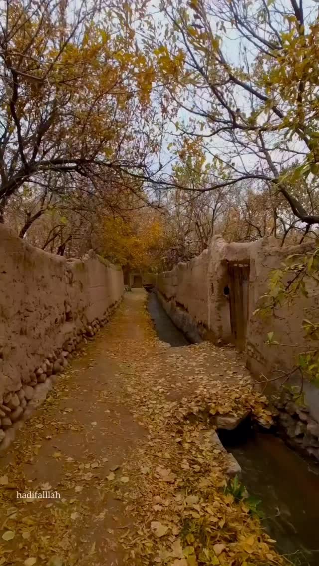  جدید ترین استوری اینستاگرام هادی فلاح