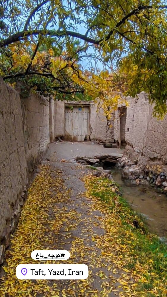  جدید ترین استوری اینستاگرام هادی فلاح