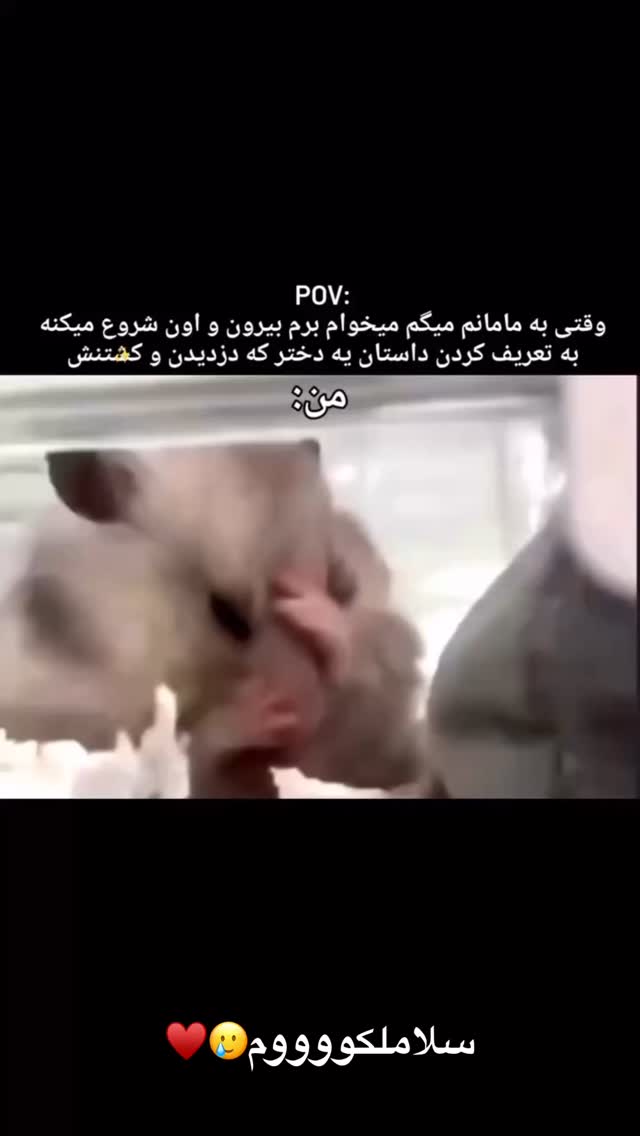  جدید ترین استوری اینستاگرام حدیثه حیدری
