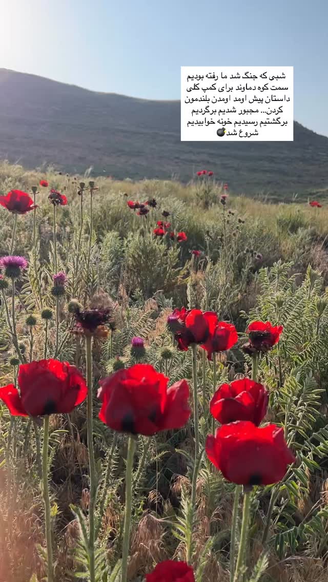  جدید ترین استوری اینستاگرام حدیثه حیدری