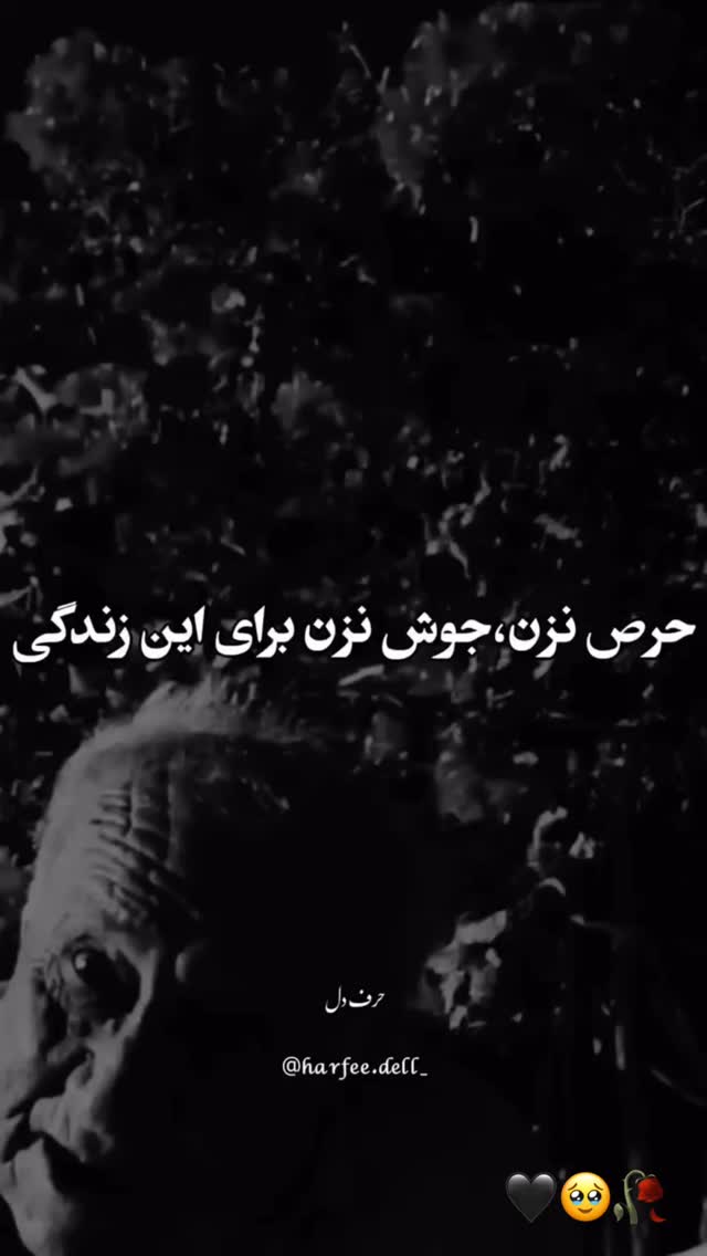  جدید ترین استوری اینستاگرام حدیثه حیدری