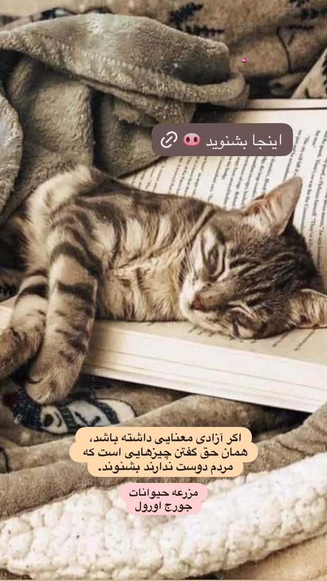  جدید ترین استوری اینستاگرام حدیثه تهرانی