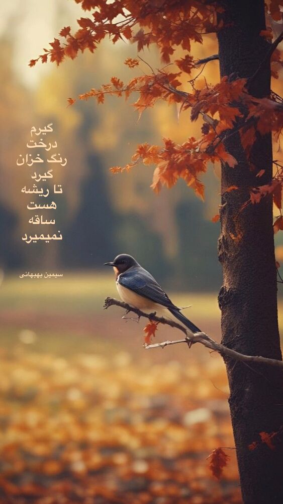  جدید ترین استوری اینستاگرام حدیثه تهرانی