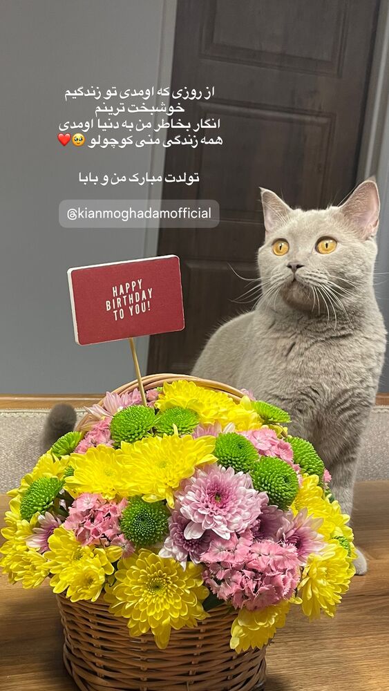  جدید ترین استوری اینستاگرام حدیثه تهرانی