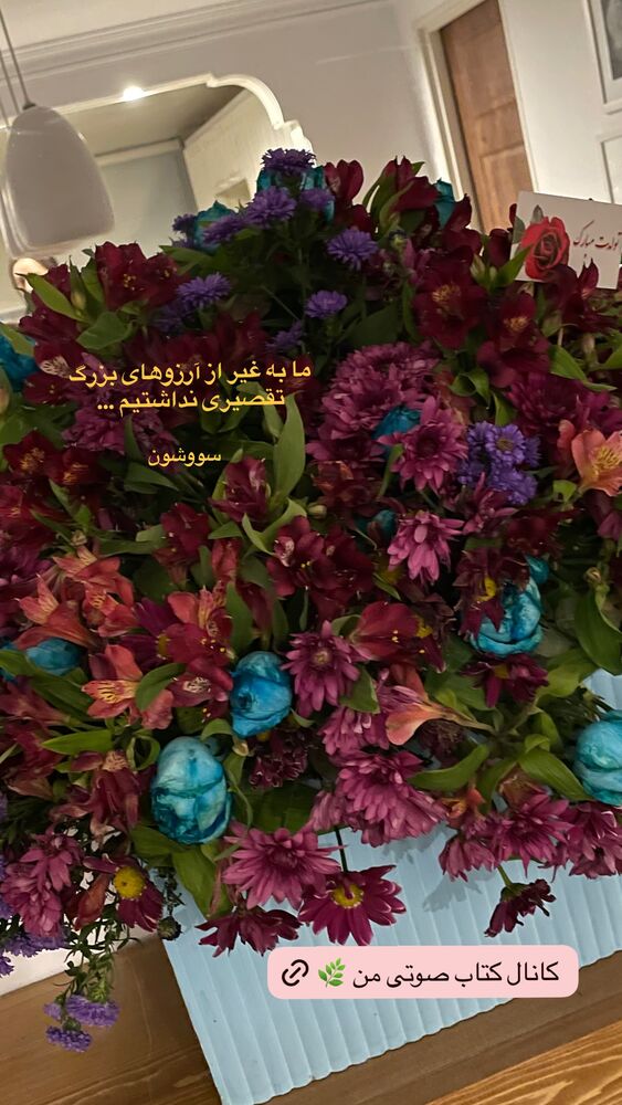  جدید ترین استوری اینستاگرام حدیثه تهرانی