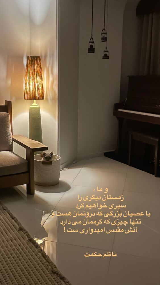  جدید ترین استوری اینستاگرام حدیثه تهرانی