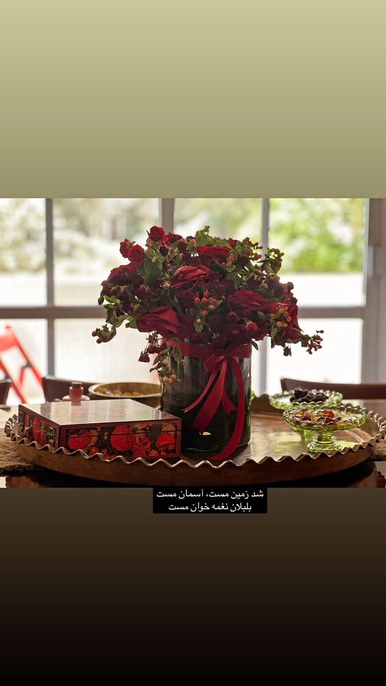  جدید ترین استوری اینستاگرام حدیث میرامینی