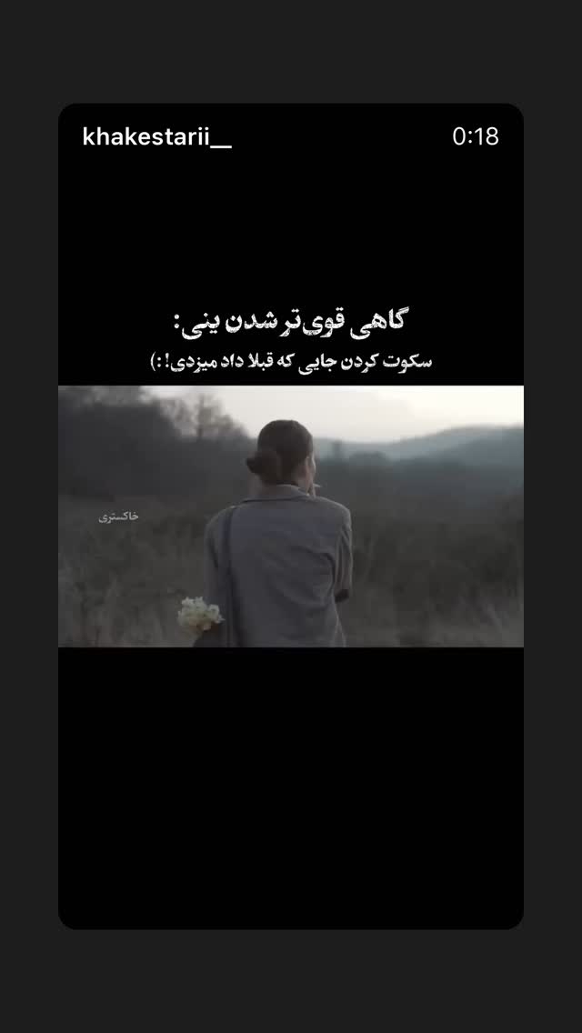  جدید ترین استوری اینستاگرام حدیث میرامینی