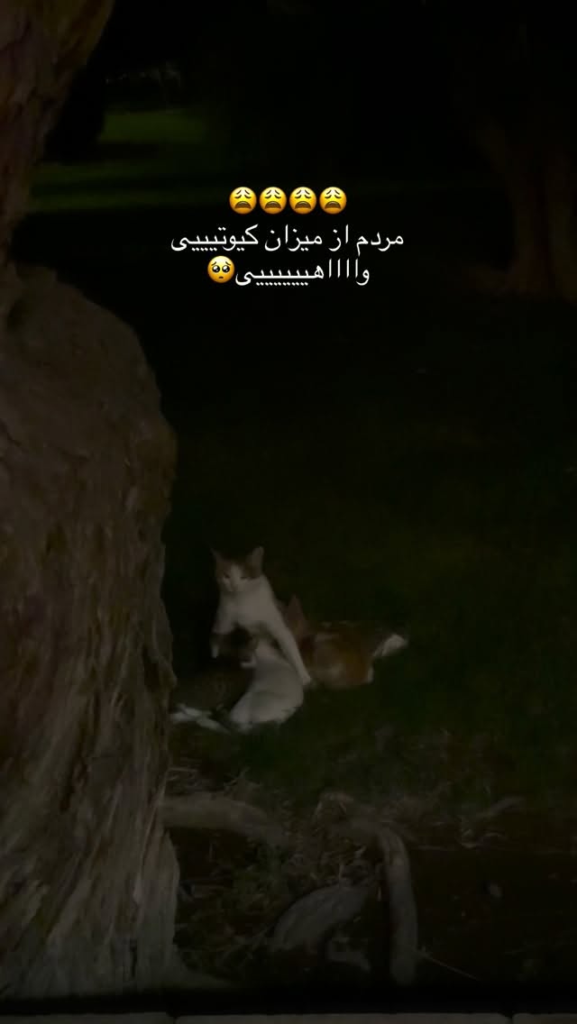  جدید ترین استوری اینستاگرام هایدان گردانی