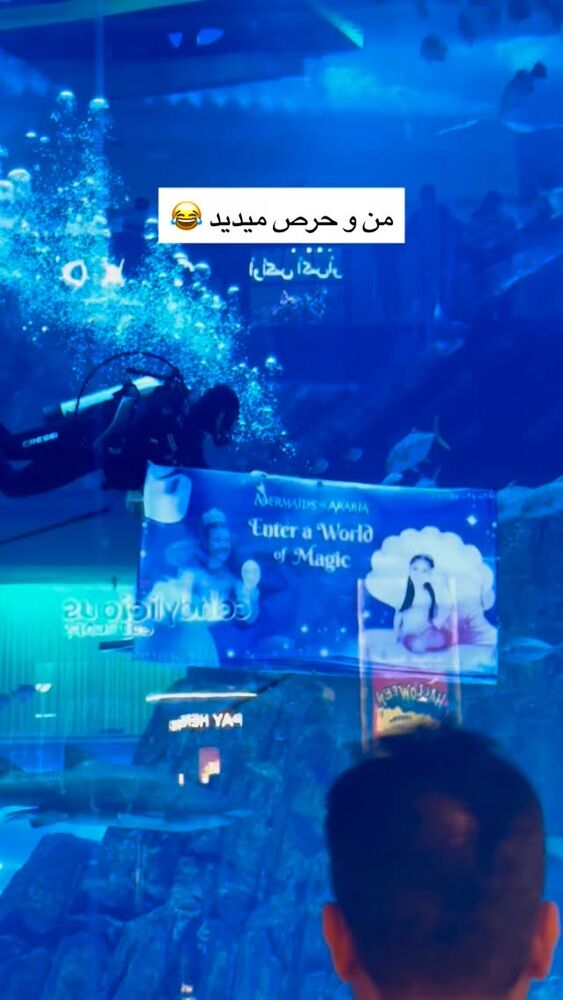  جدید ترین استوری اینستاگرام علی حاجی محمدی