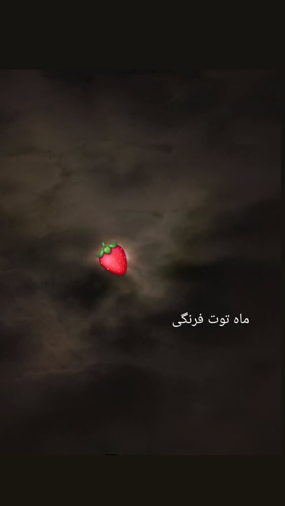  جدید ترین استوری اینستاگرام حامد معالی مهربانی