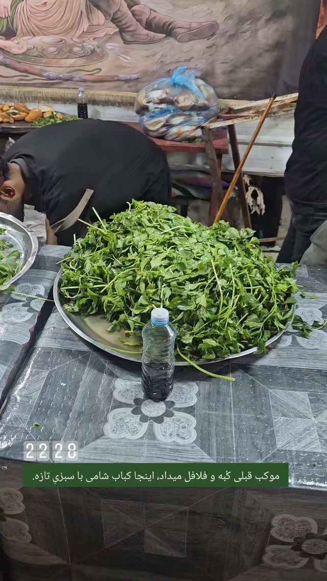  جدید ترین استوری اینستاگرام حامد معالی مهربانی