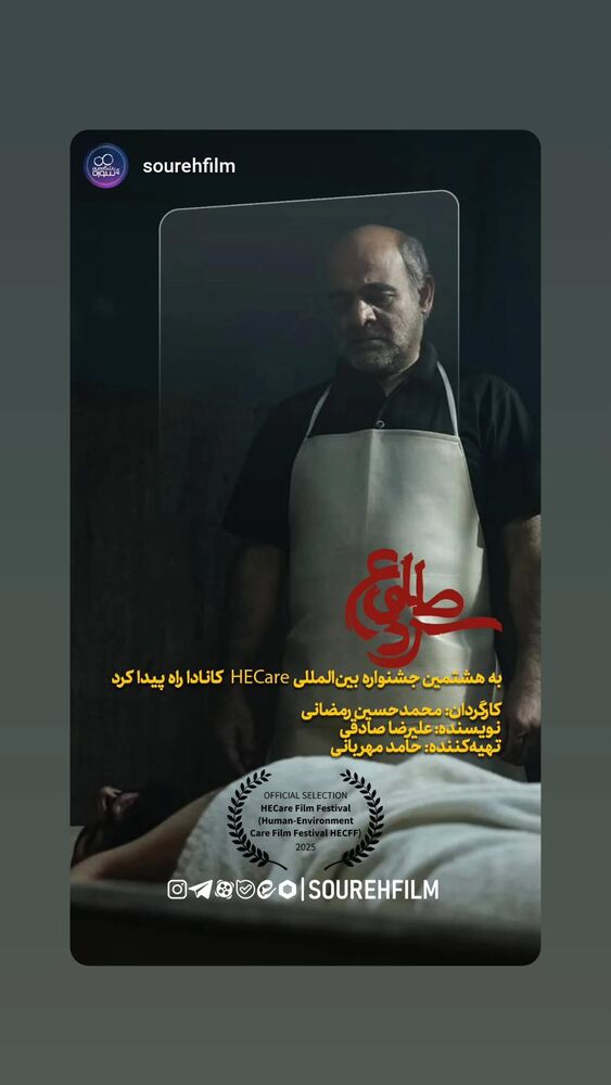  جدید ترین استوری اینستاگرام حامد معالی مهربانی