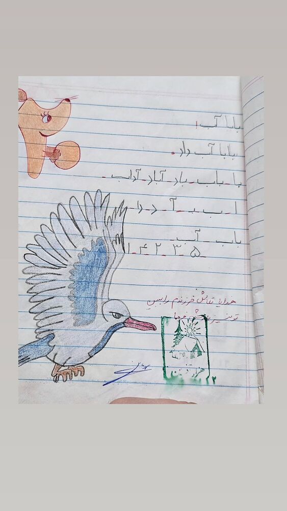  جدید ترین استوری اینستاگرام حامد معالی مهربانی