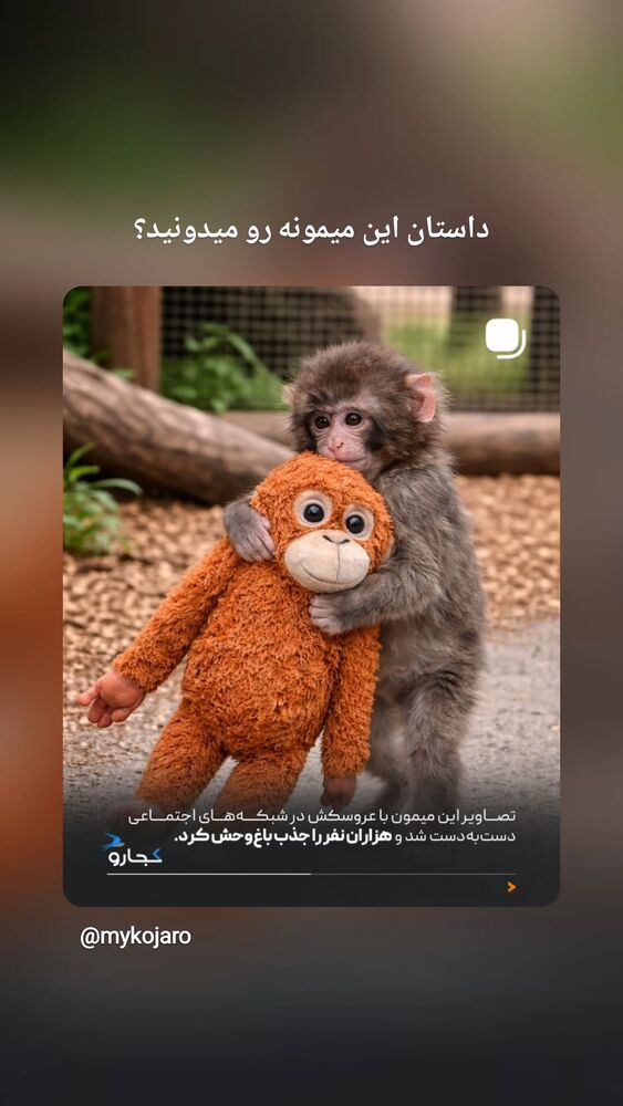  جدید ترین استوری اینستاگرام حامد معالی مهربانی
