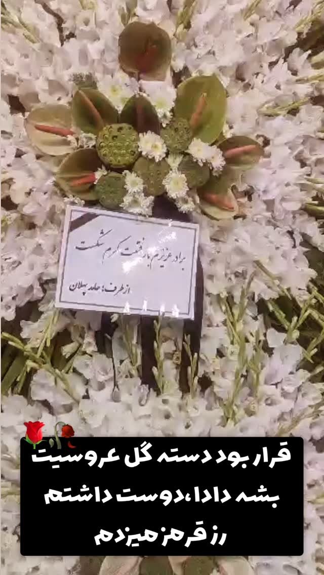 جدید ترین استوری اینستاگرام حامد پهلان