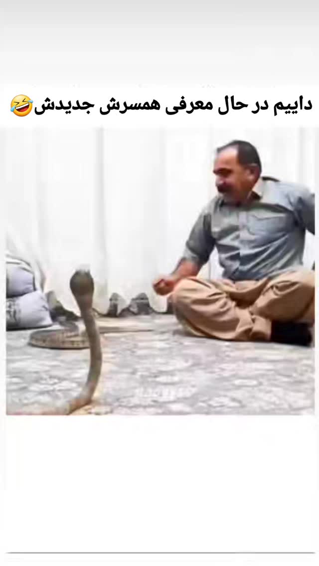  جدید ترین استوری اینستاگرام حامد رئیسی