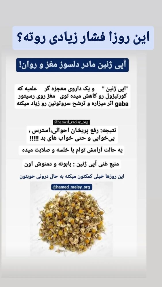  جدید ترین استوری اینستاگرام حامد رئیسی