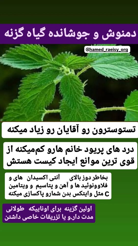  جدید ترین استوری اینستاگرام حامد رئیسی