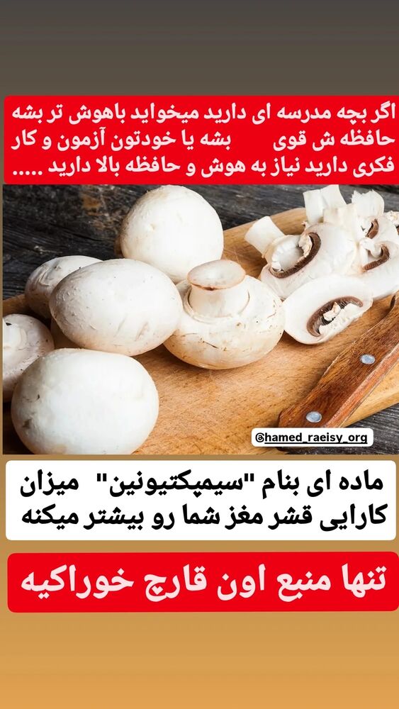  جدید ترین استوری اینستاگرام حامد رئیسی