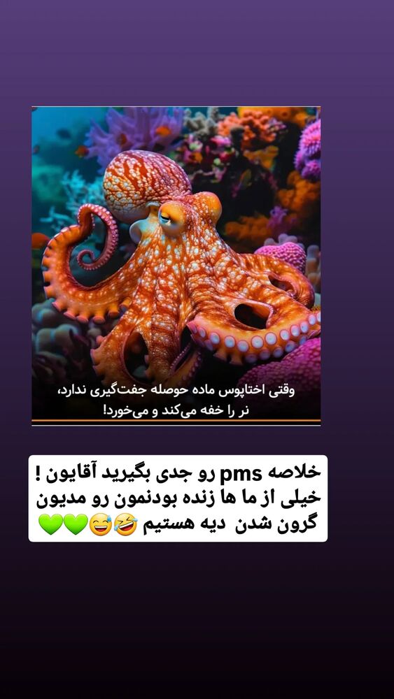  جدید ترین استوری اینستاگرام حامد رئیسی