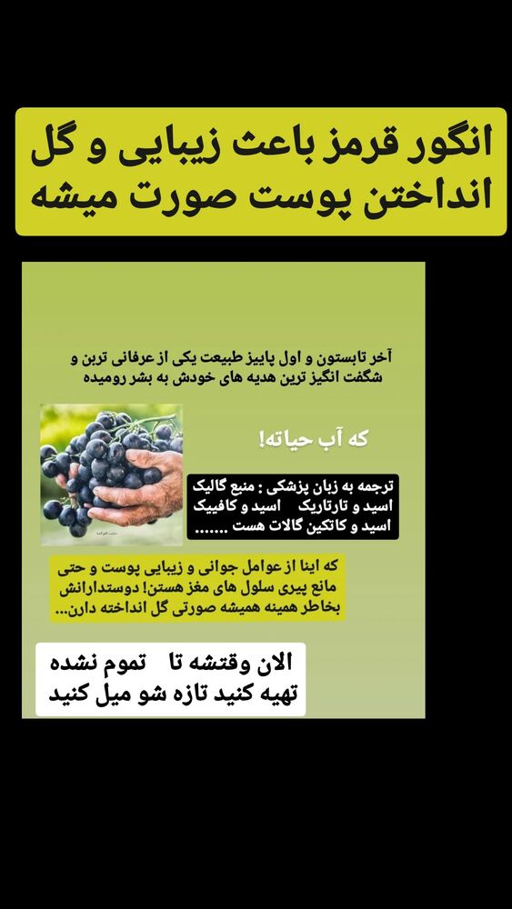  جدید ترین استوری اینستاگرام حامد رئیسی