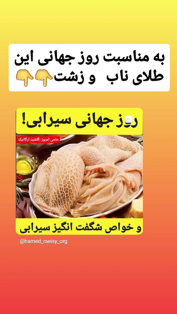  جدید ترین استوری اینستاگرام حامد رئیسی