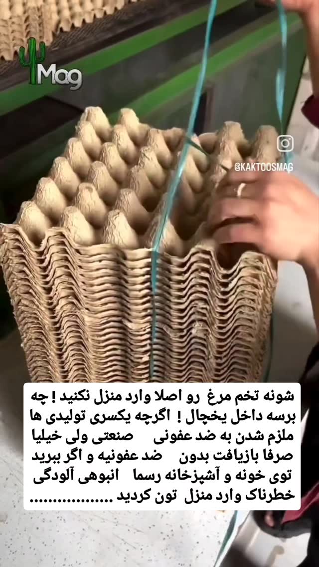  جدید ترین استوری اینستاگرام حامد رئیسی