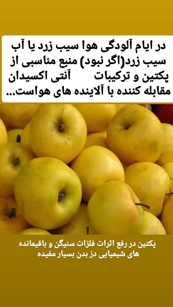  جدید ترین استوری اینستاگرام حامد رئیسی