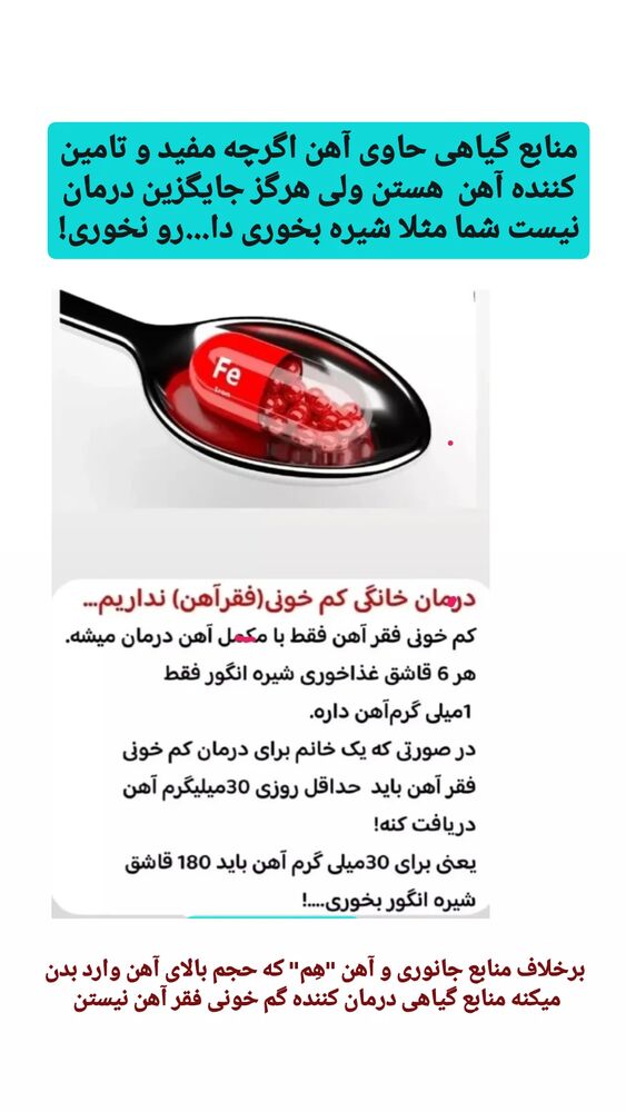  جدید ترین استوری اینستاگرام حامد رئیسی