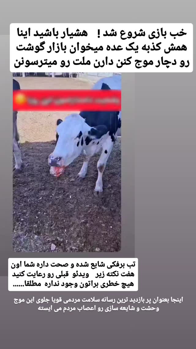  جدید ترین استوری اینستاگرام حامد رئیسی