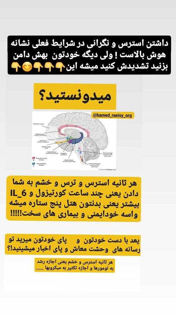  جدید ترین استوری اینستاگرام حامد رئیسی