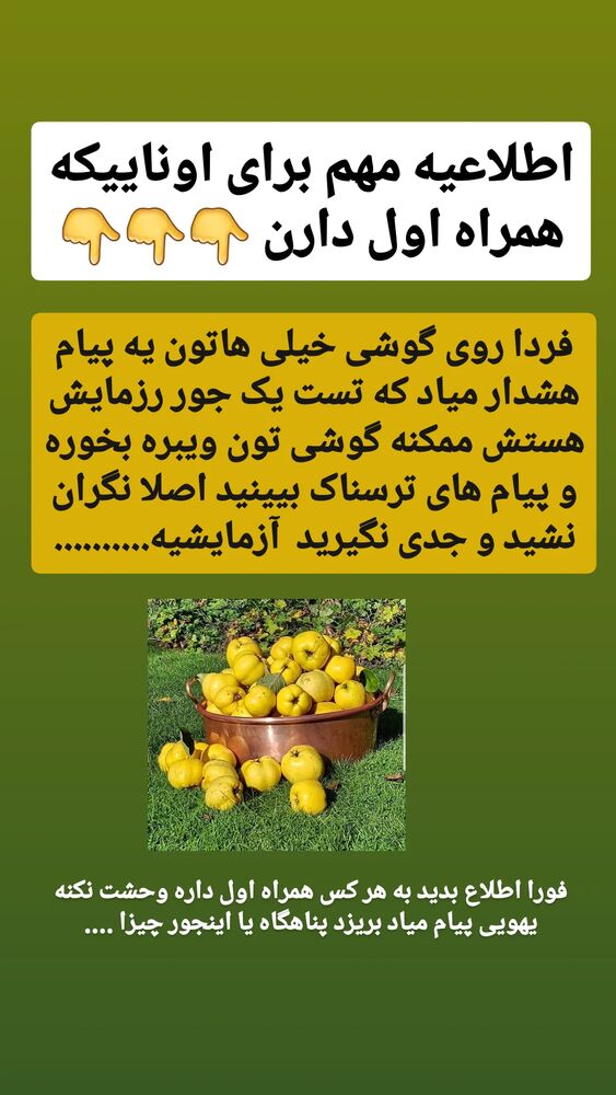  جدید ترین استوری اینستاگرام حامد رئیسی