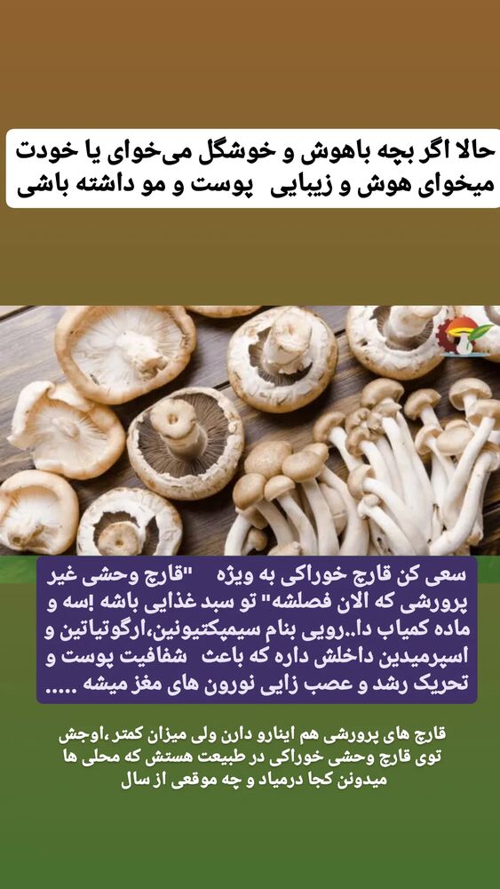  جدید ترین استوری اینستاگرام حامد رئیسی