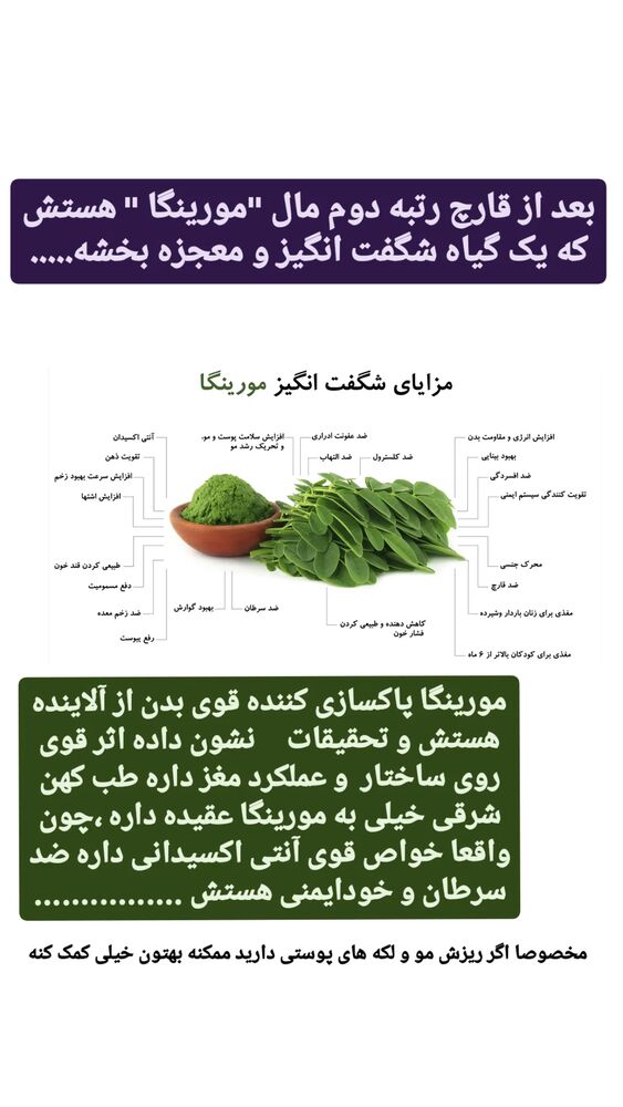  جدید ترین استوری اینستاگرام حامد رئیسی