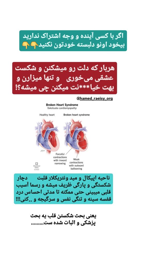  جدید ترین استوری اینستاگرام حامد رئیسی
