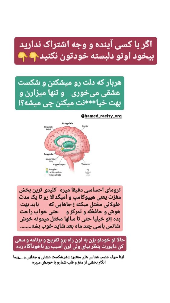  جدید ترین استوری اینستاگرام حامد رئیسی